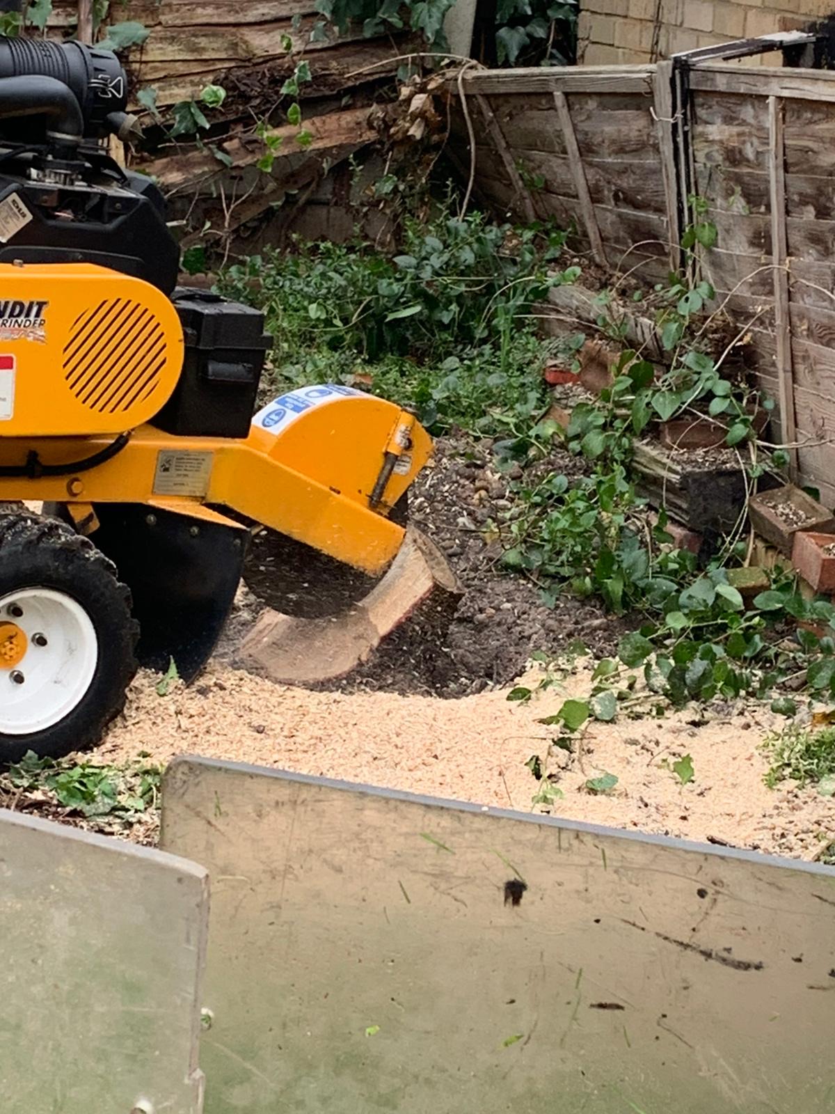 Stump grinding to below ground level