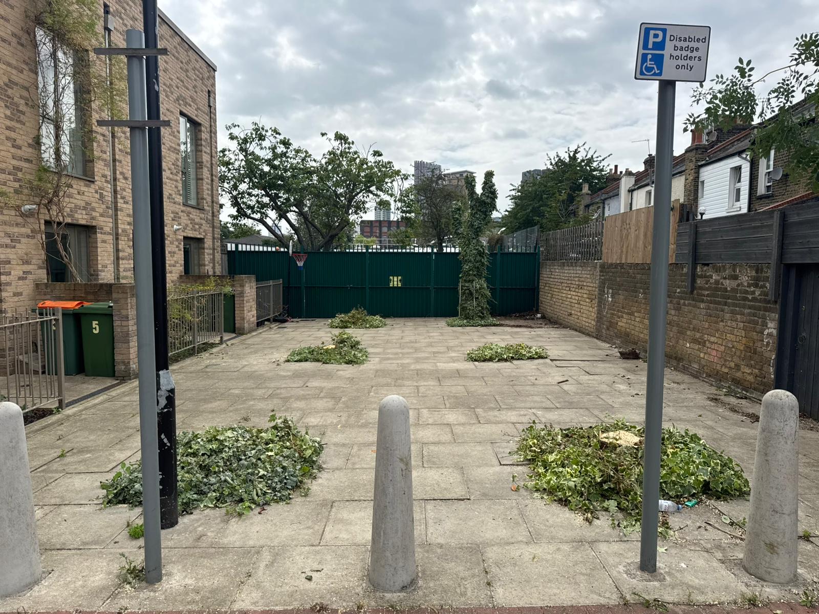 Garden after full tree clearance