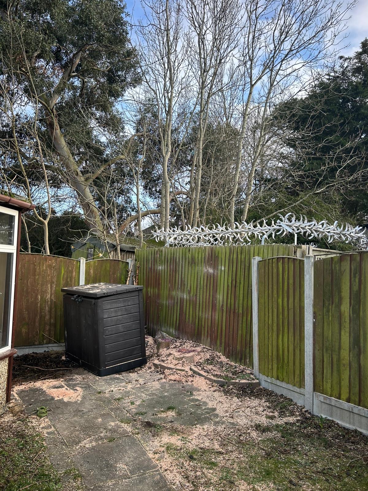 Completed tree removal, site cleared